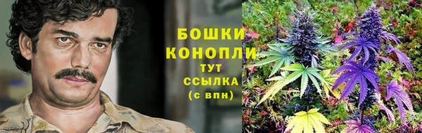 скорость Липки