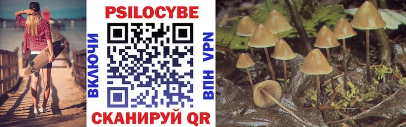 Купить где  Оса  Псилоцибиновые грибы Magic Shrooms 